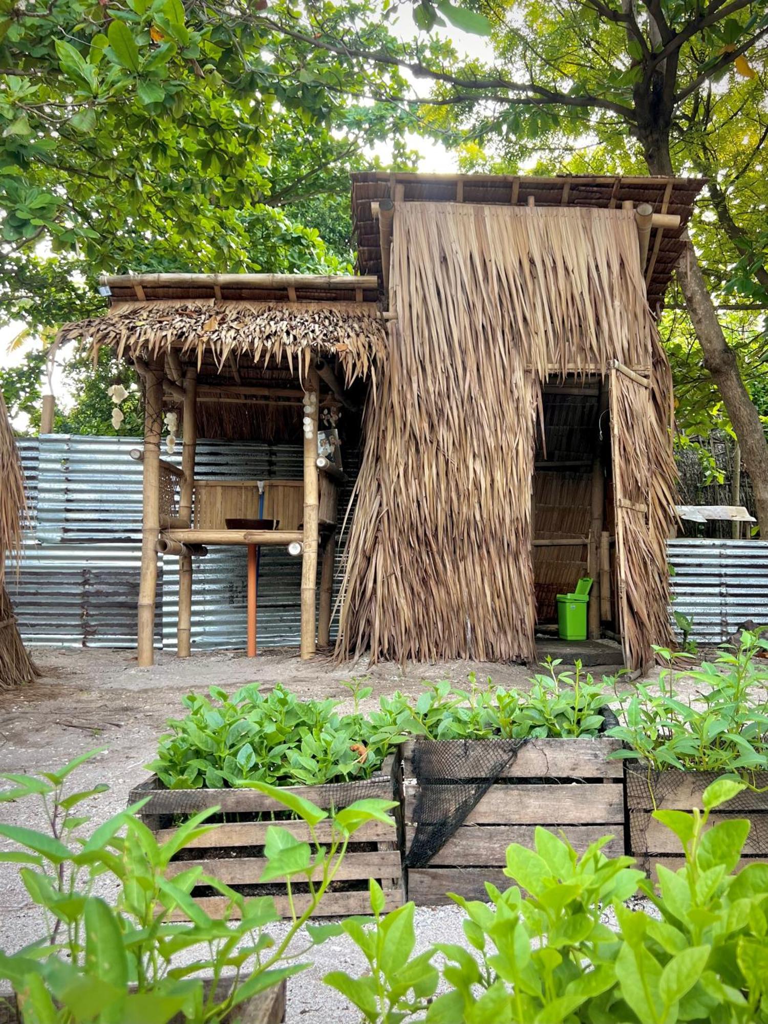 Ostello Tribal Huts Community Daanbantayan Camera foto
