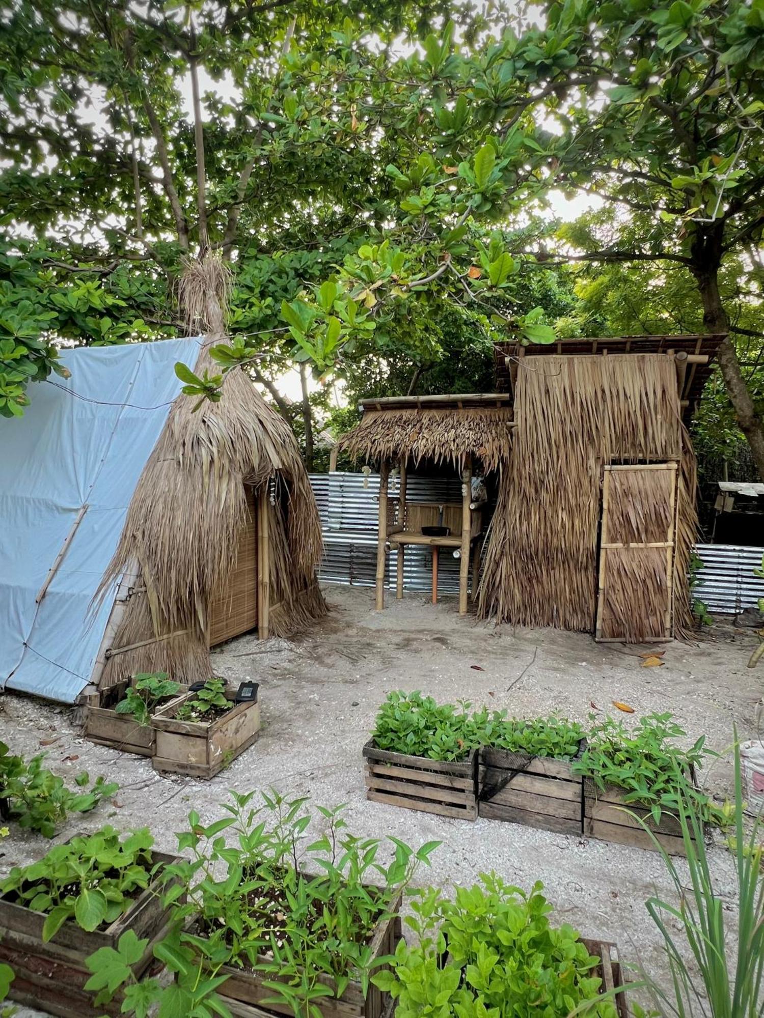 Ostello Tribal Huts Community Daanbantayan Esterno foto
